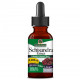 Экстракт лимонника 2000 мг, Nature's Answer, Schisandra Berry, 30 мл